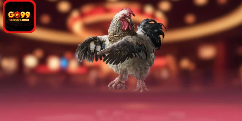 Trải nghiệm thực tế khi tham gia