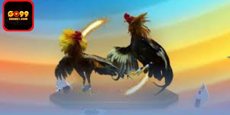 Tính minh bạch và công bằng