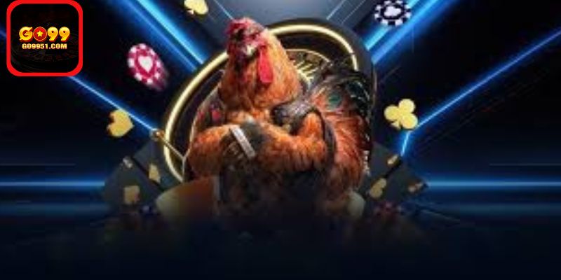 Giới Thiệu Đá Gà GO99