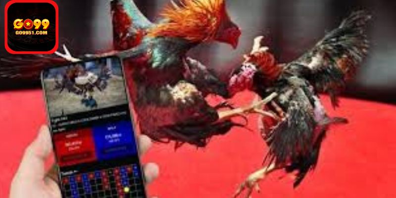 Những sai lầm người chơi thường gặp